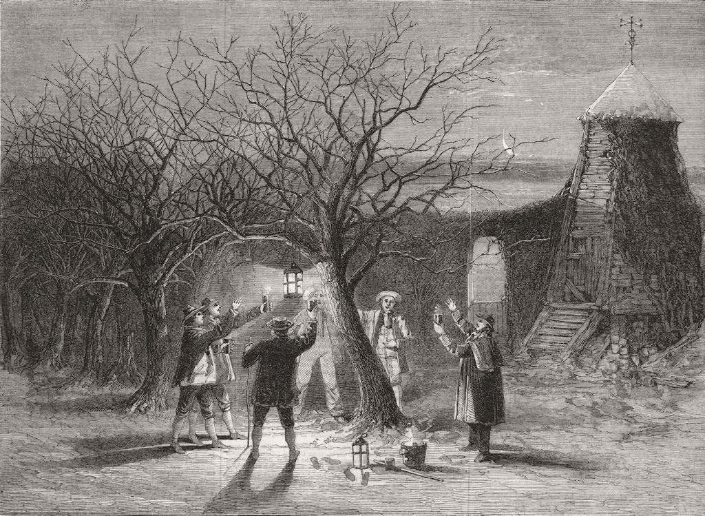 DEVON. Wassailing apple-trees, hot cider 12th night 1861 old antique print